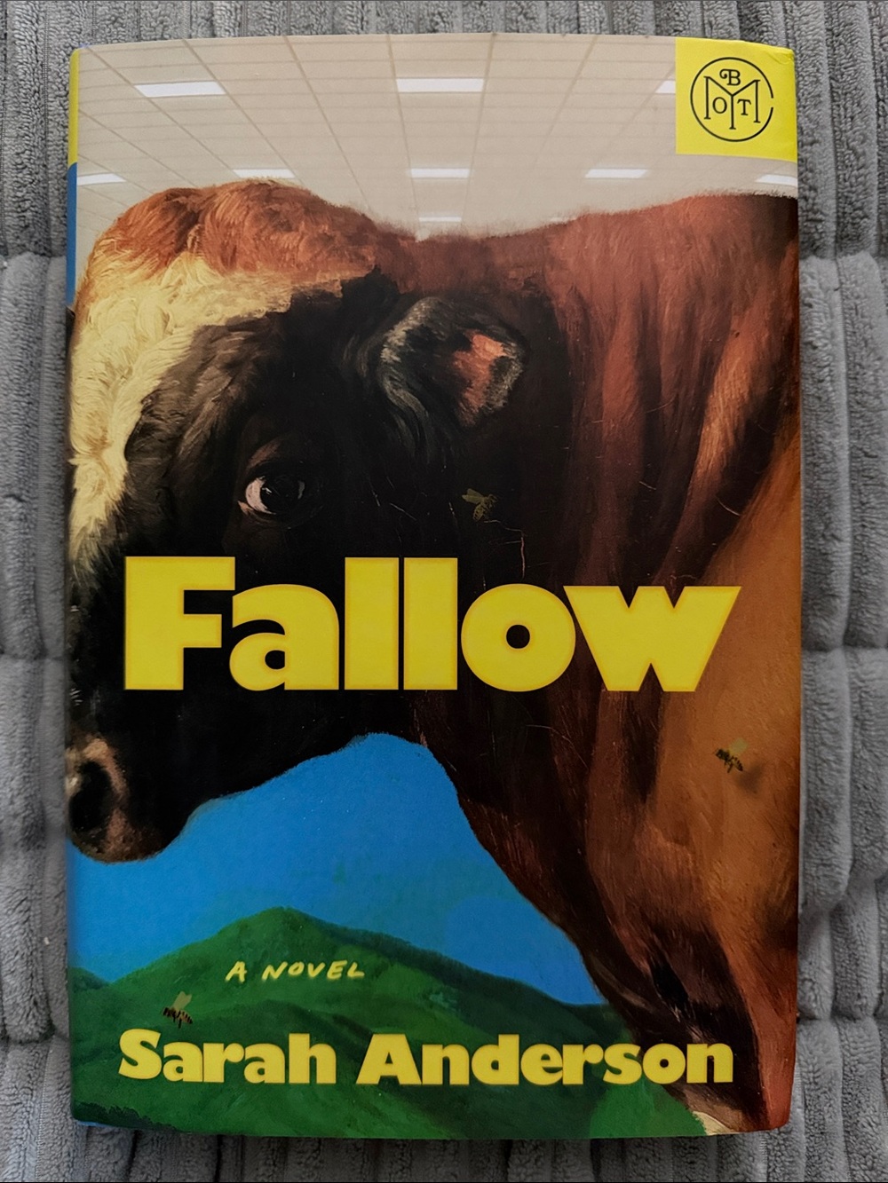 Fallow by Sarah Anderson — Yellow & Blue Hardcover Novel